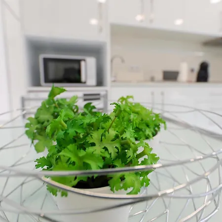 Pensión Moradia Chicharro *