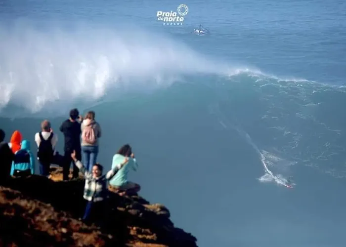 Moradia Chicharro بيت ضيافة نازاريه