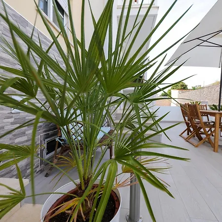 Moradia Chicharro Affittacamere *