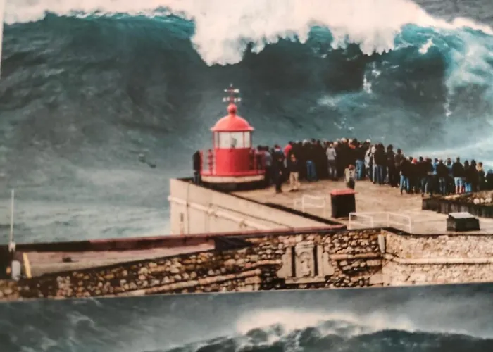 Moradia Chicharro בית הארחה