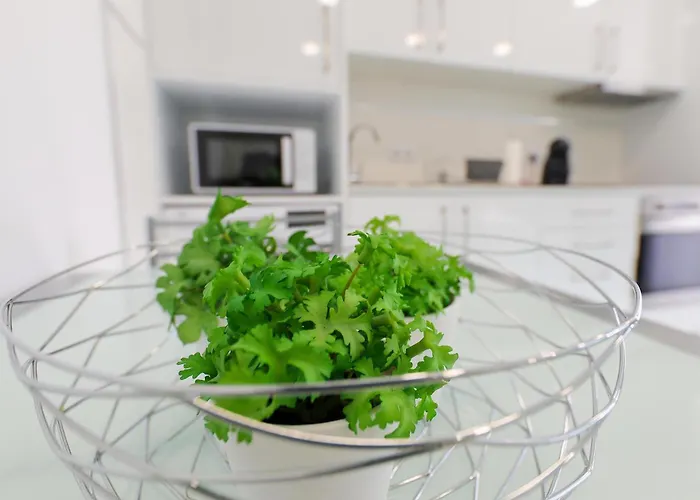 בית הארחה Moradia Chicharro *